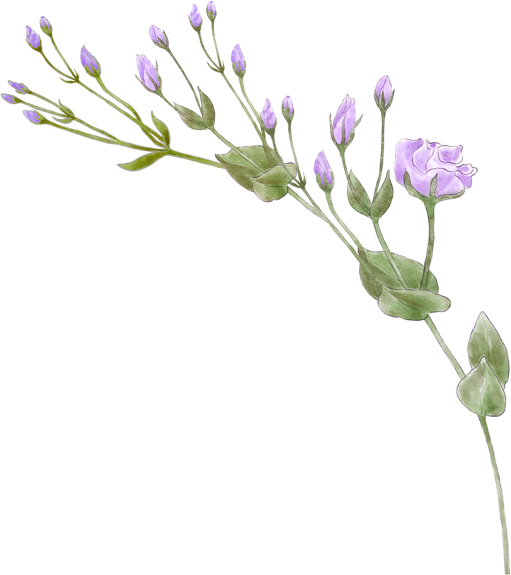 Watercolor flowers purple Lisianthus